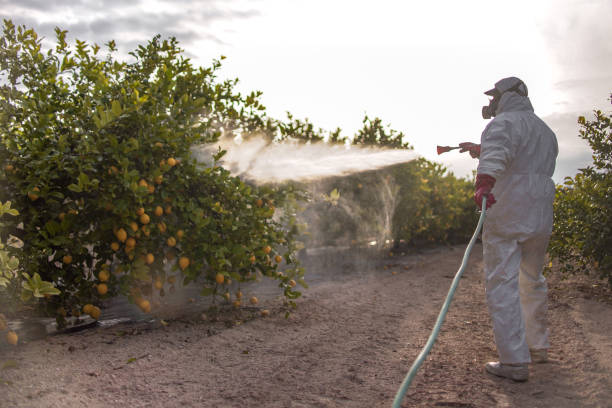 Best Commercial Pest Control Services  in Idyllwild Pine Cove, CA