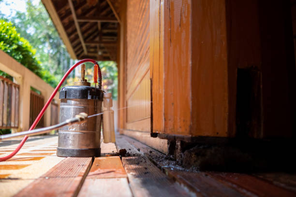 Best Exterminator Services  in Idyllwild Pine Cove, CA